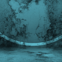 The Detective Society: The Disappearance of Claire Makova