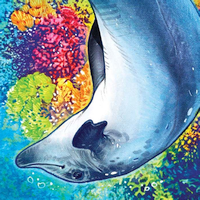 Aqua: Biodiversity in the Oceans