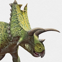 Holotype: Mesozoic North America