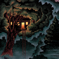 The Light in the Mist