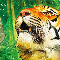 Hutan: Life in the Rainforest