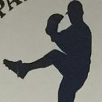 Payoff Pitch Baseball