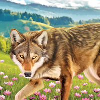 Keystone: North America